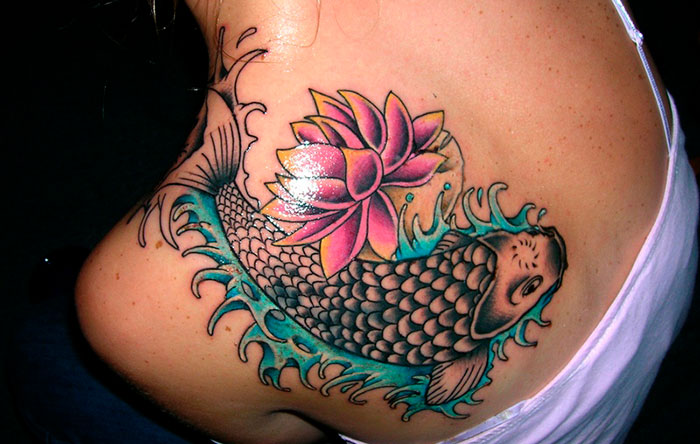 significado carpa koi