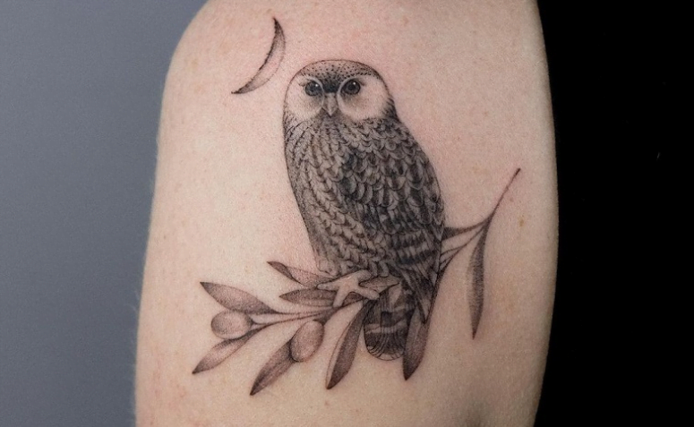coruja tattoo desenho simples