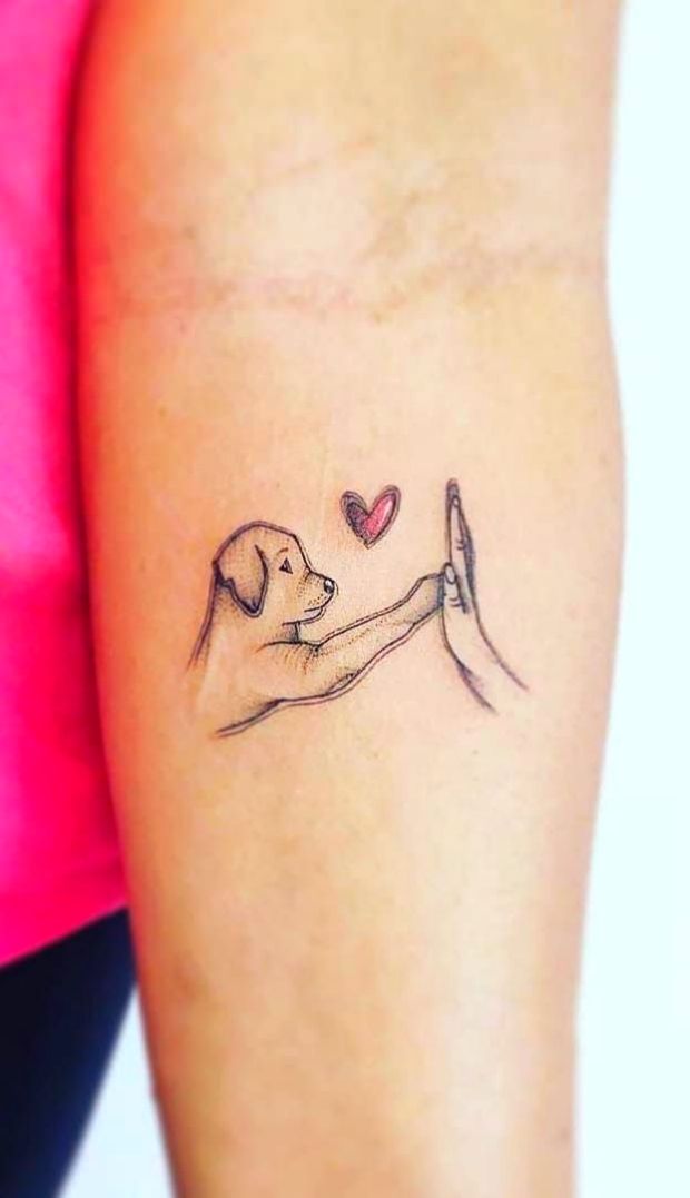 tatuagem de cachorro realista