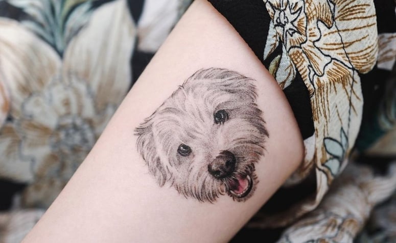 tatuagem de cachorro realista