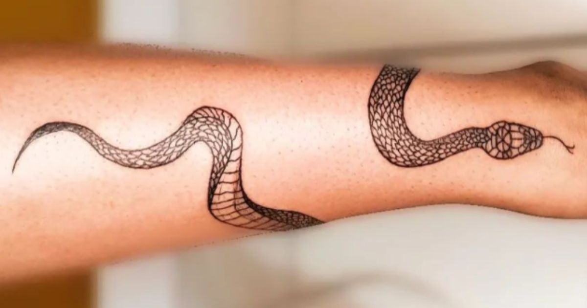 tatuagem de cobra minimalista