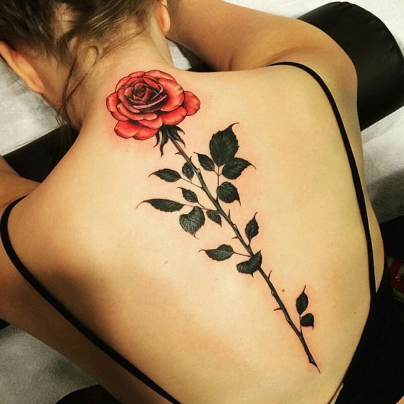tatuagem de leoa nas costas