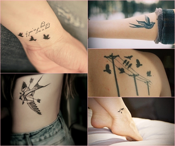 tatuagens de pássaros minimalistas antebraço