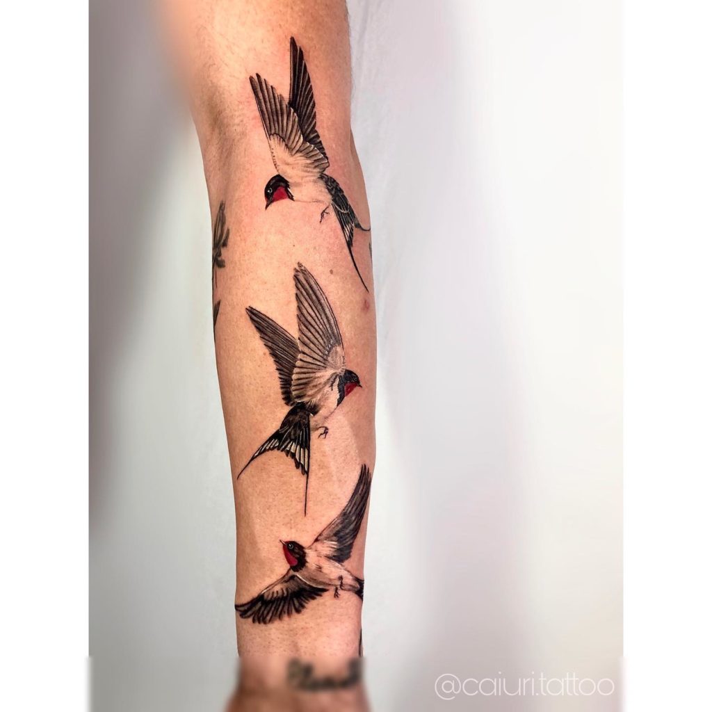 significado tatuagem andorinha braço