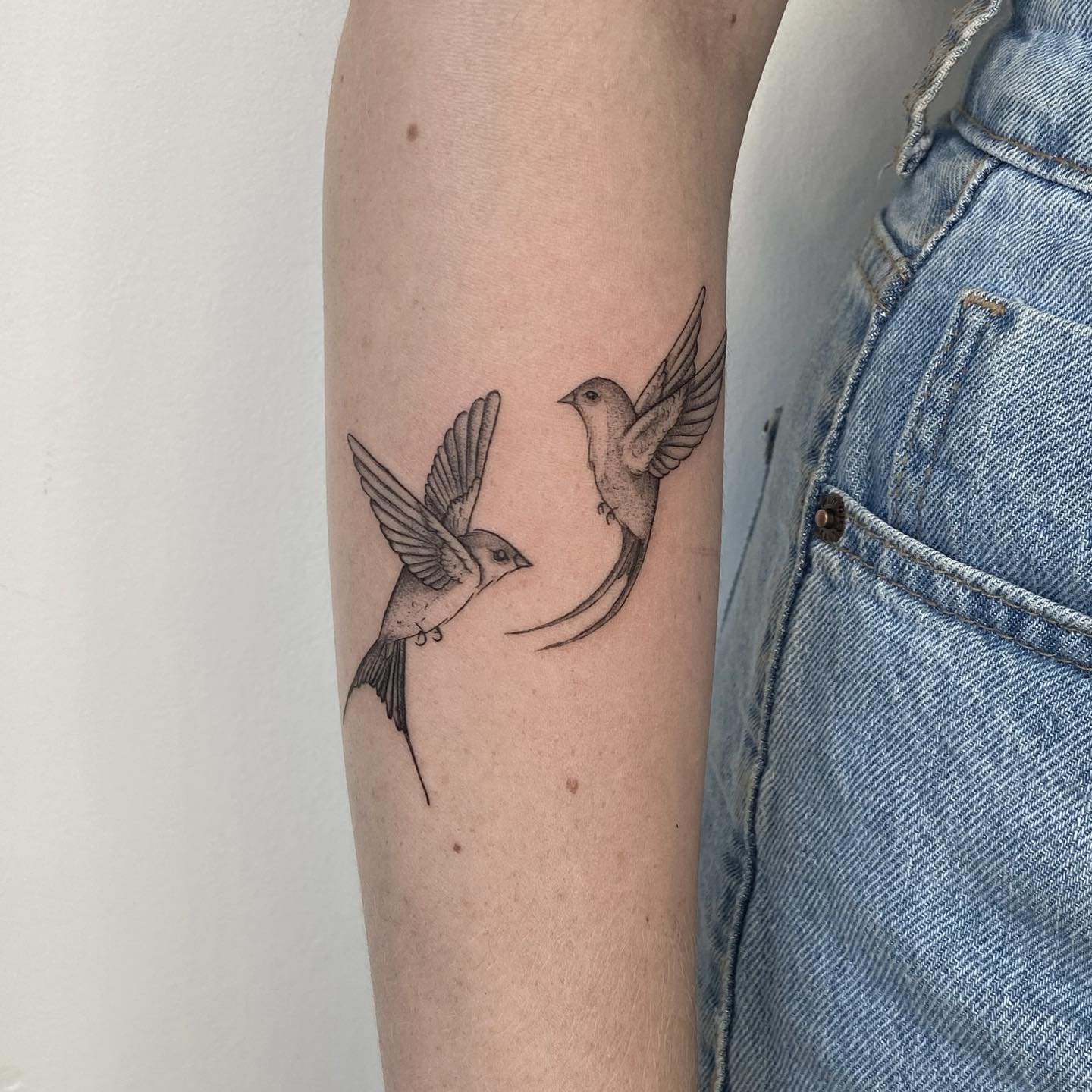 tatuagem beija-flor braço