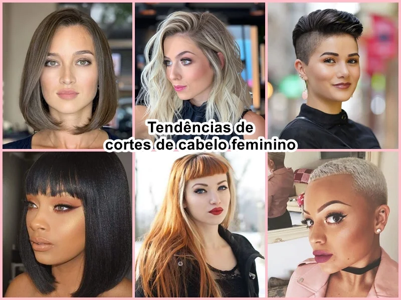 transição capilar guia