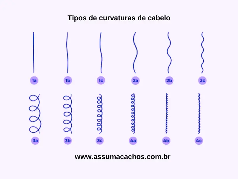 curvatura 1A 1B 1C
