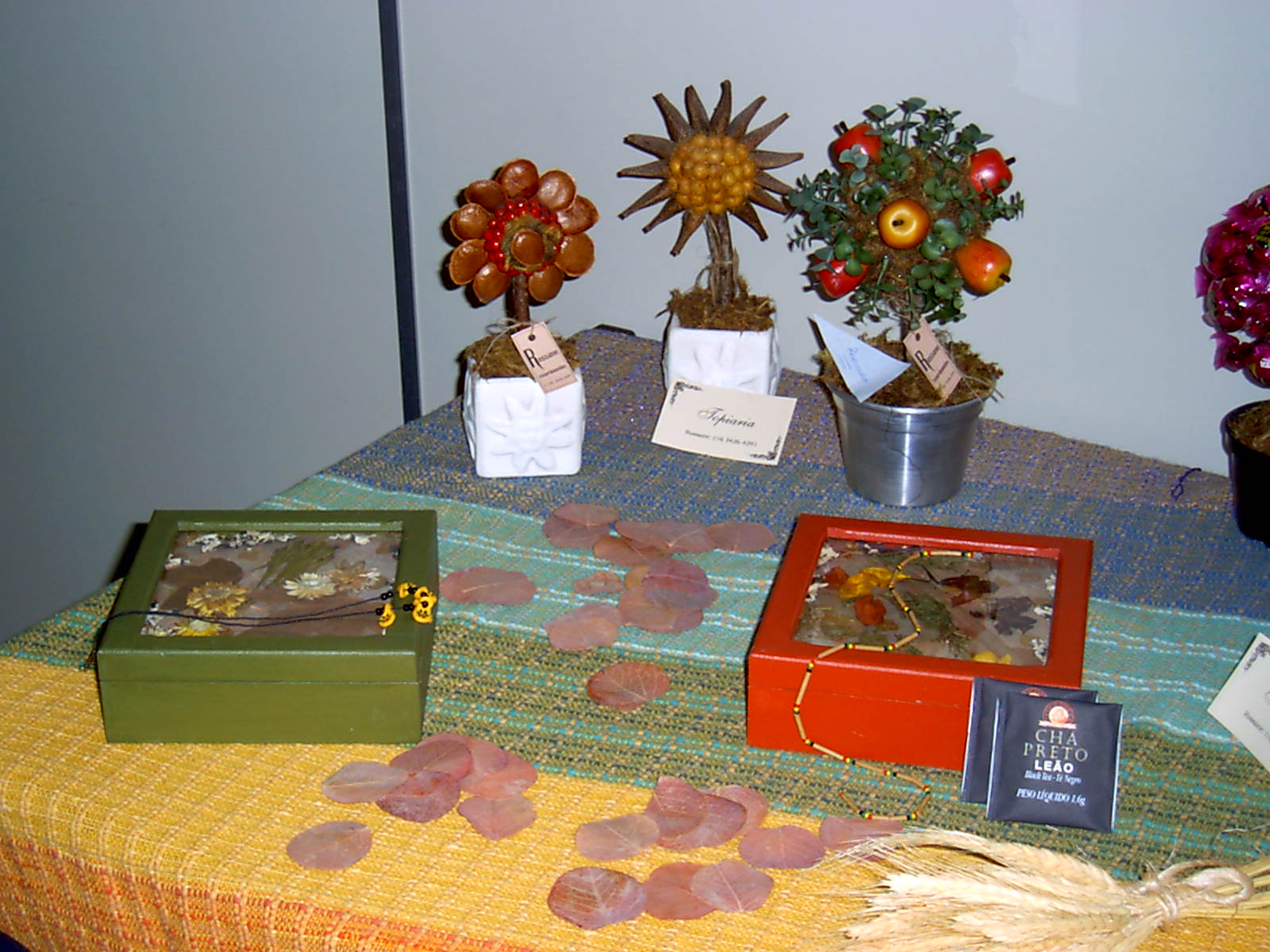 arte de podar plantas