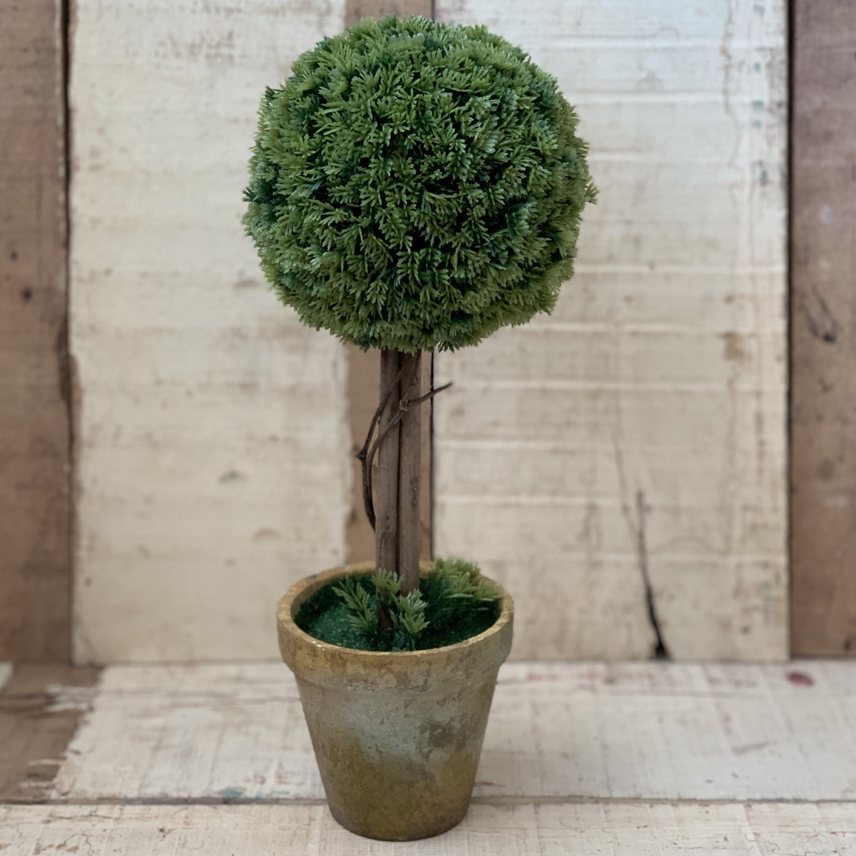 jardinagem ornamental