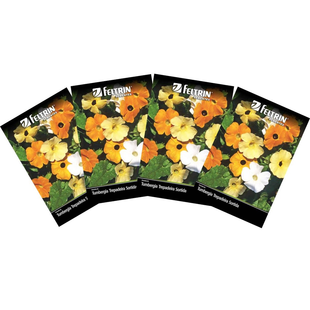 thunbergia erecta cores