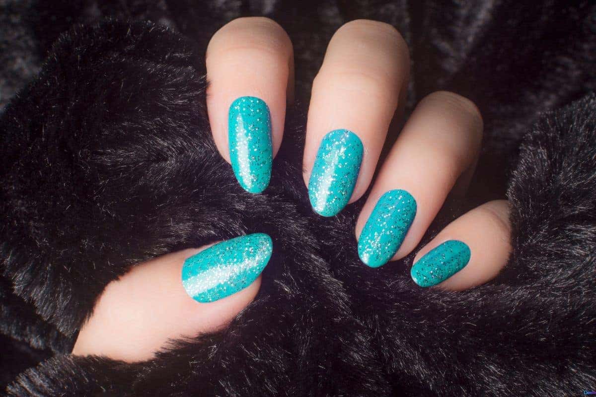 francesinha azul