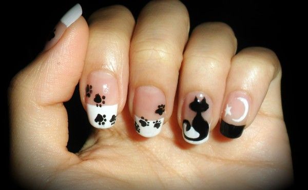 unha decorada gato