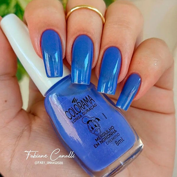 francesinha azul