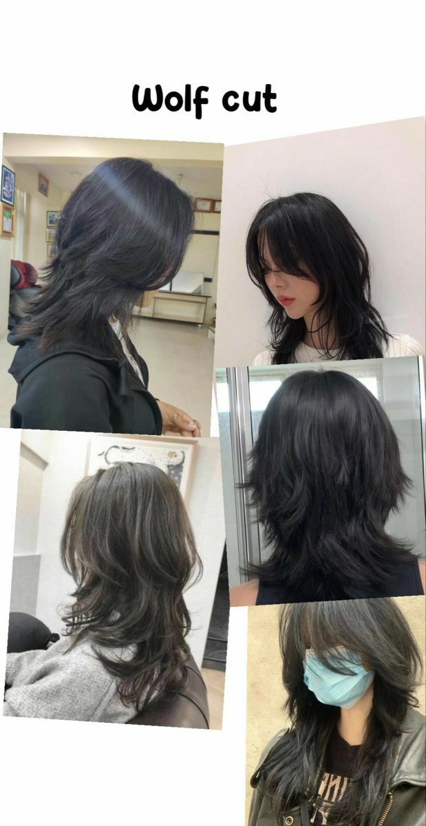 wolf cut vs shaggy liso